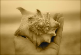 今この瞬間に戻る方法 エックハルト トール 地球人のためのスピリチュアル レッスン Vaststillness